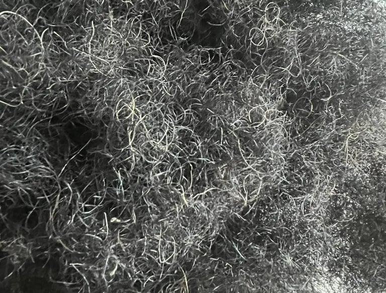 Crin de cheval en vrac