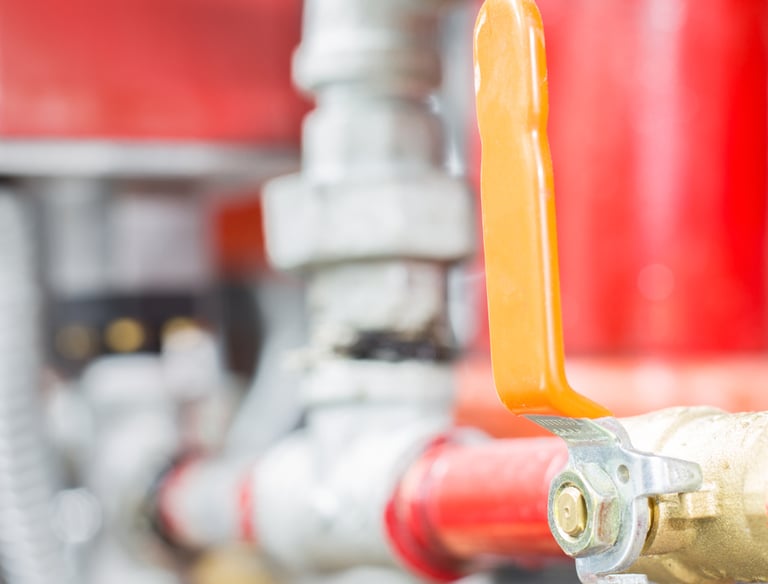 Contamos con expertos capacitados que brindan soluciones personalizadas a las necesidades de nuestro