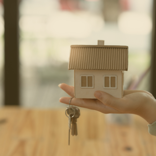 a person holding a house shaped like a house