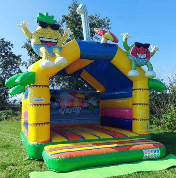 SummerParty Hüpfburg im Sommer beim Hüpfburgenverleih in Husum - Deichhopser