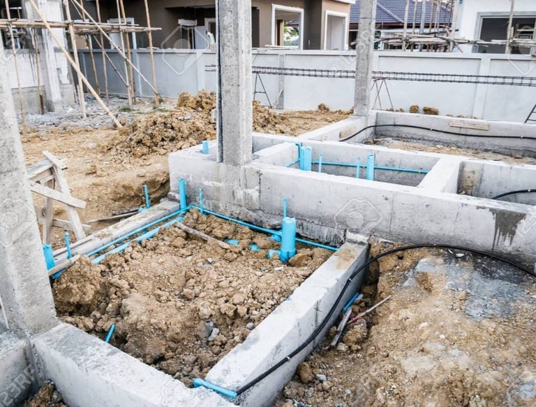 TERMITE PIPING PEST CONTROL SERVICE