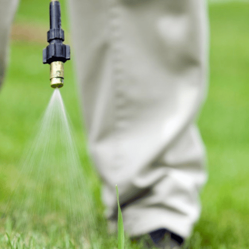 pet-waste-removal-in-kansas-city-missouri