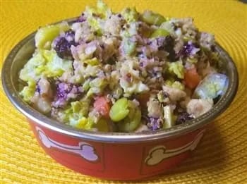 maltipoo-home-cooking