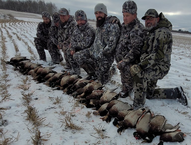 Saskatchewan waterfowl hunts - fast limit duck hunt after the whitetail hunt