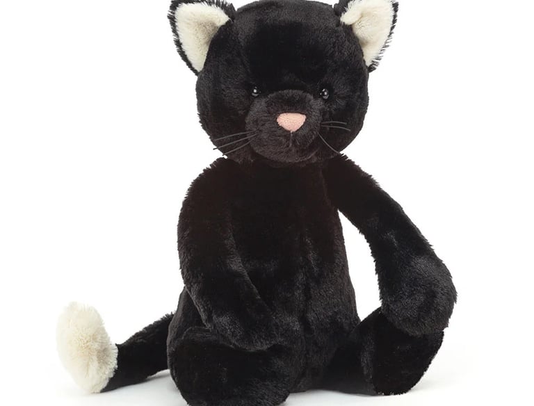 black kitten