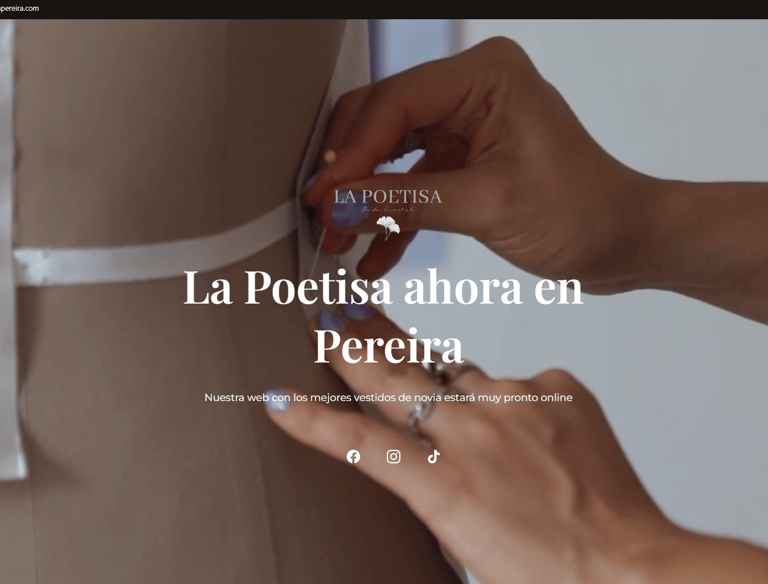 paginas web baratas en pereira