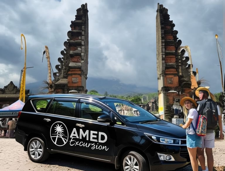 amed bali driver - private driver service