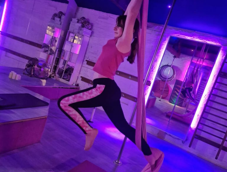 Image of a young girl posing on the aerial silks