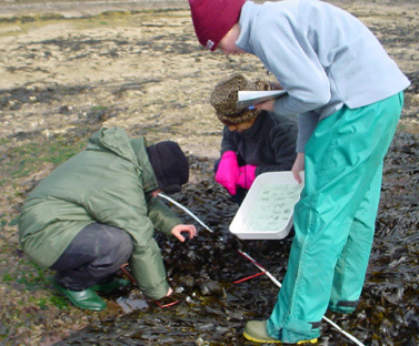 Students on beach