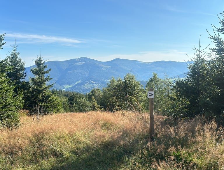 crêtes vosgiennes en été belle visibilite sur le Grand Ballon sommet des Vosges avec 1424m d'altitude 