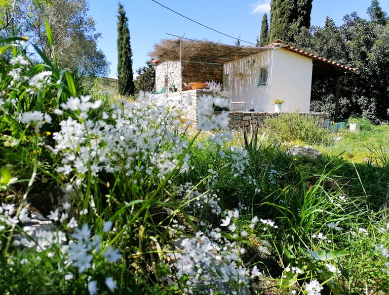 Vakantiehuisje Samos in het voorjaar