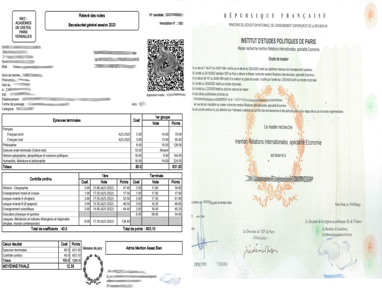 Professional academic document translation services by Lang Lumin
