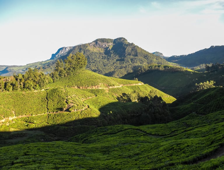munnar_2