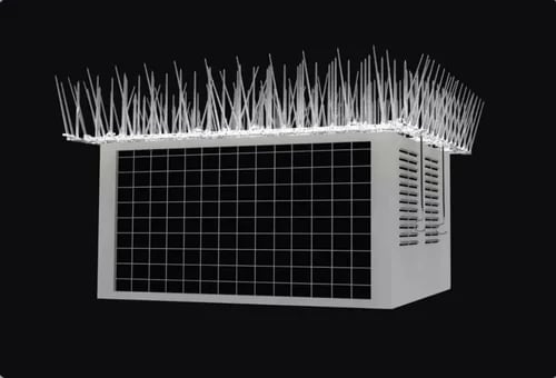bird spikes protecting home and office units