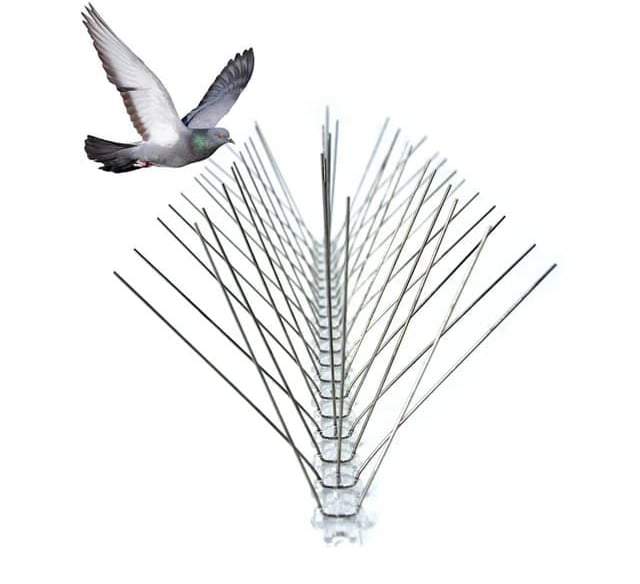 Bird spikes installed on rooftop to prevent pigeons and birds from landing