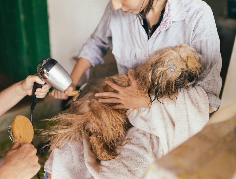 Vet Pet care