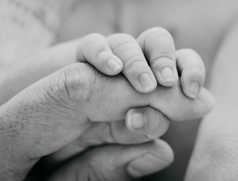 Photographe naissance - Papa Ours Photo