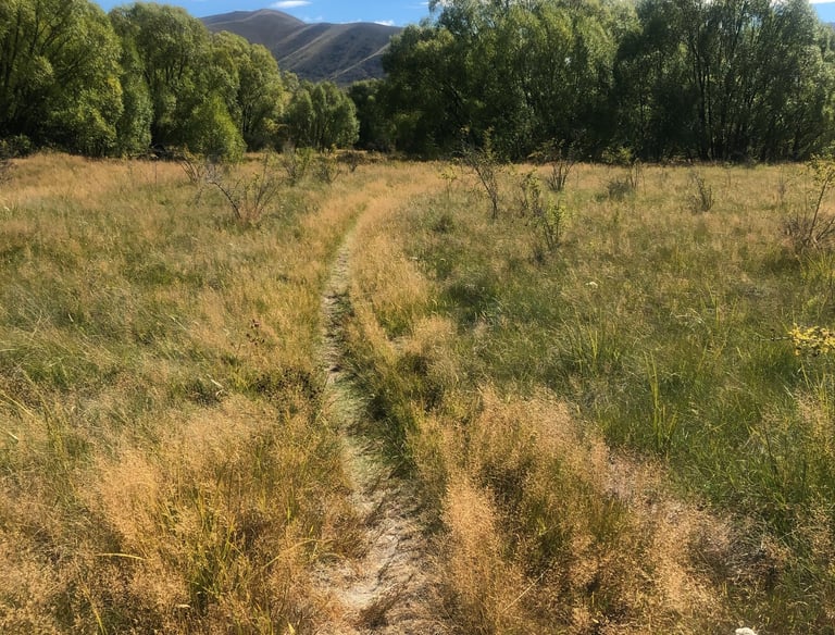 Start Where You Are Beginning Consultation