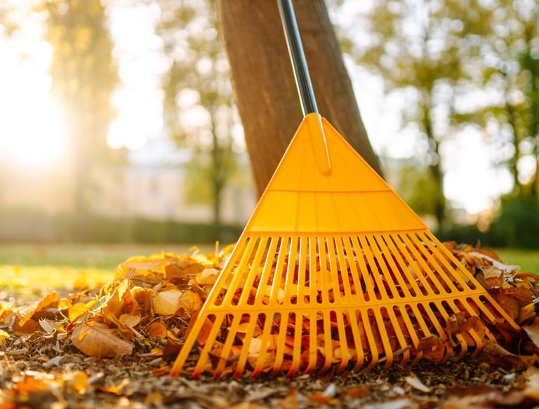 raking leaves