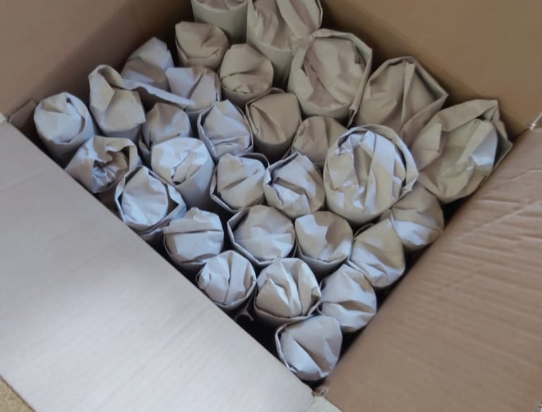 Serviço profissional de embalagem para mudança em Campinas