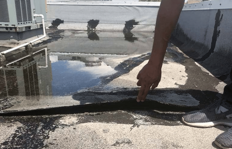 “Protek-General-Contractors.jpg”