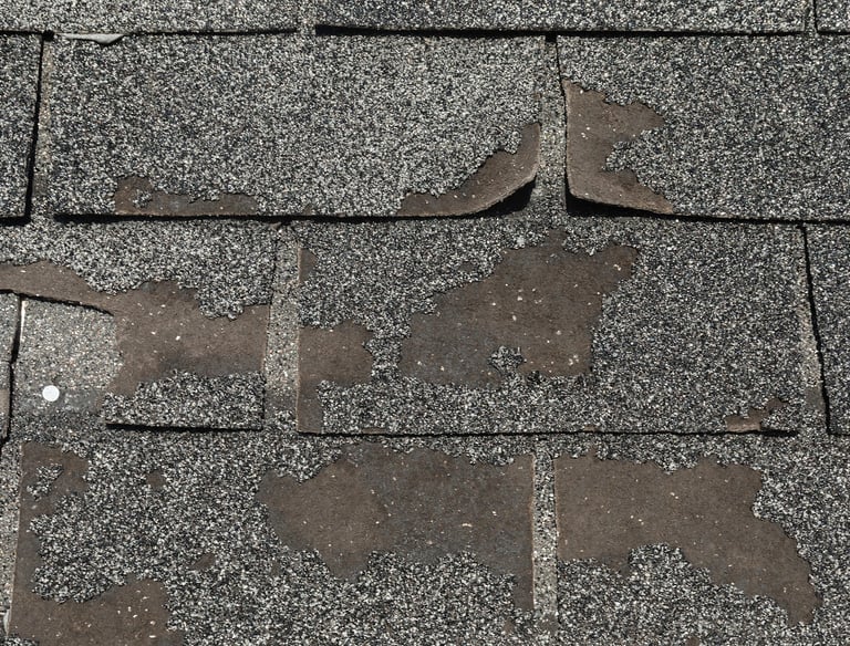 “Protek-General-Contractors.jpg”