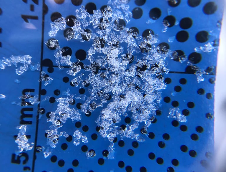 Test de Nivologia - Benasque