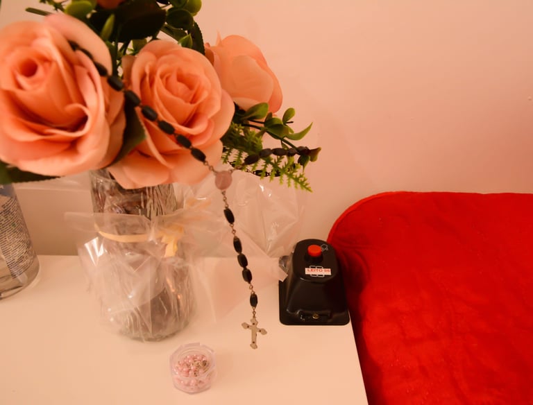 Botão de Emergência ao lado de Vaso de Rosas