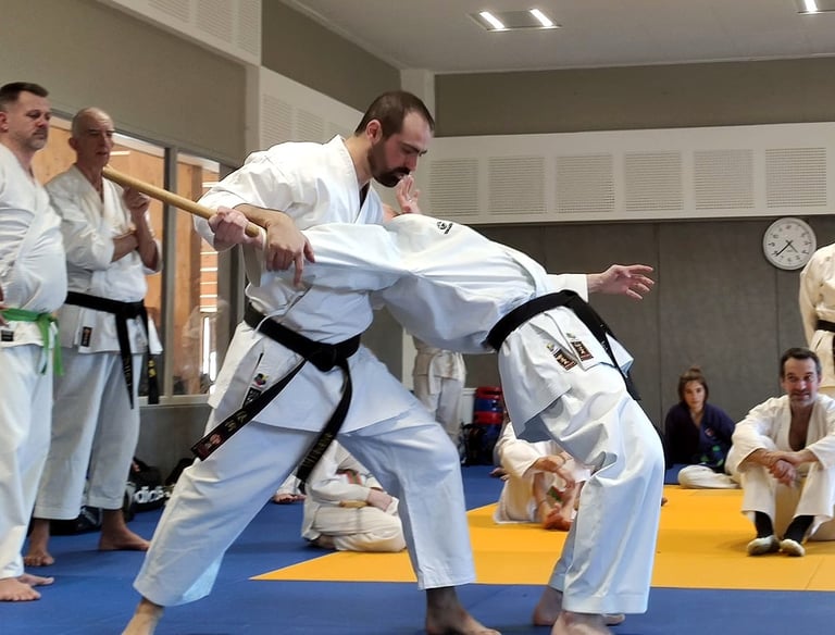 Activité Taï-Jitsu Self-défense