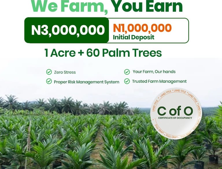 palm trees investment