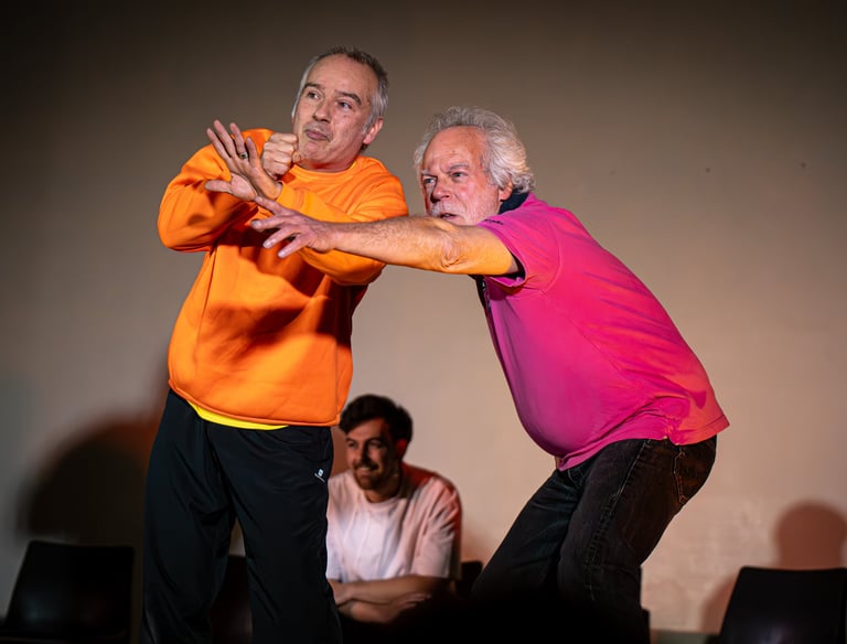 Photo Cabaret d'impro Constellations Éphémères