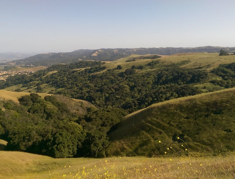 Conserved areas in the San Francisco Bay Area, CA