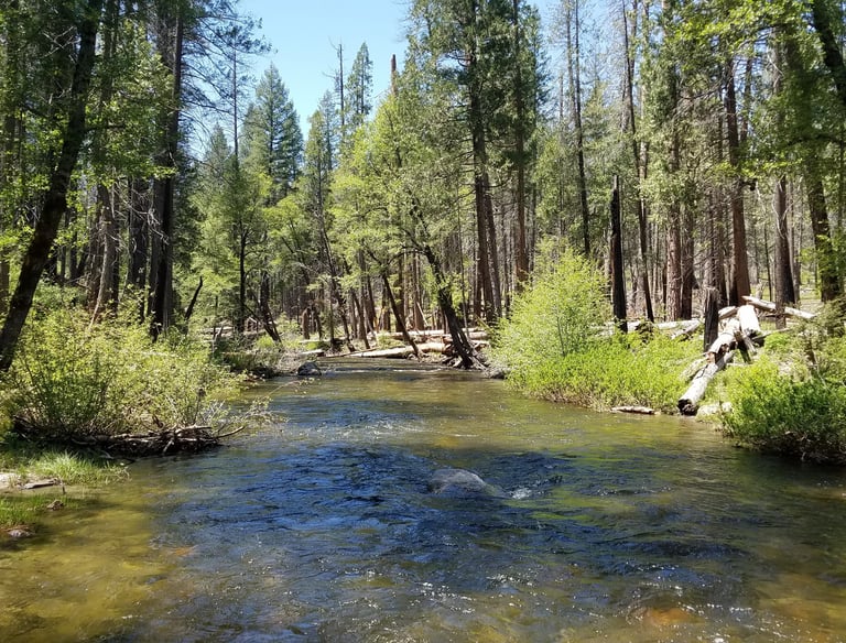 South Fork Tuolumne River near Groveland, CA