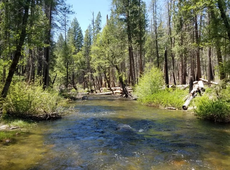 South Fork Tuolumne River near Groveland, CA.