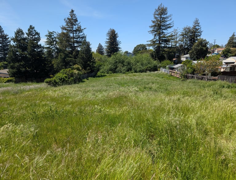 Biological Evaluation in Castro Valley, CA