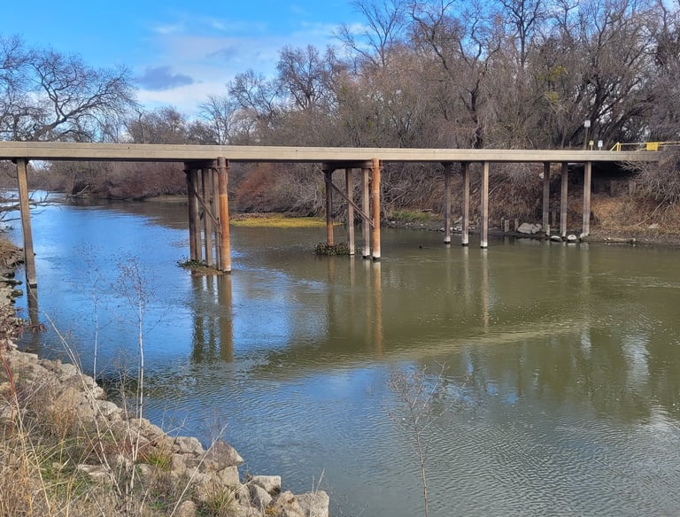 Tributary to the Sacramento River in Sutter County, CA