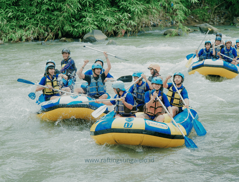 Rafting Sungai Elo menawarkan pemandangan hutan tropis dan udara segar pegunungan