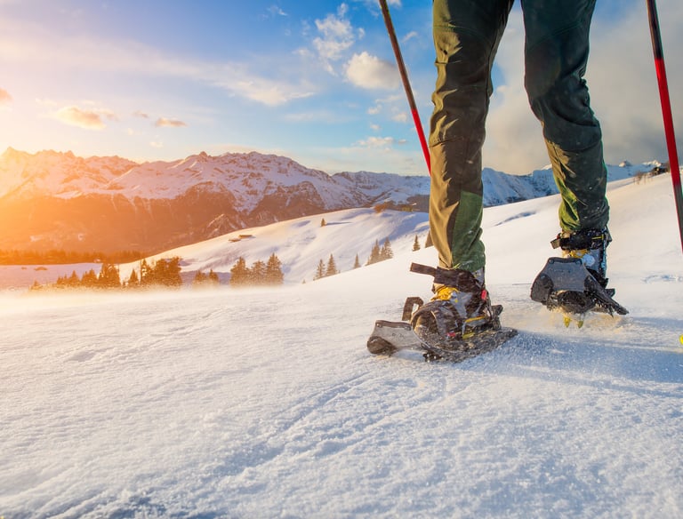 schneeschuhwanderung durch den Wald in Leutasch