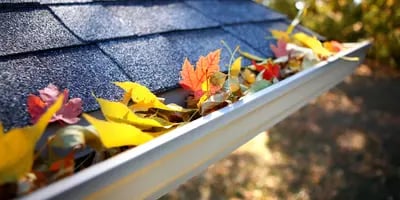 Gutter Cleaning in San Antonio