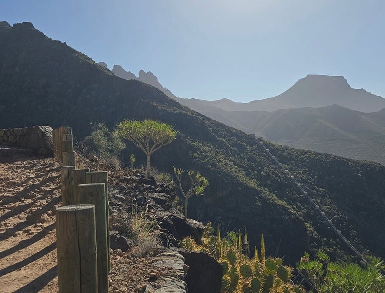 Rocky volcanic gorge with green cliffs and a narrow trail in Barranco del Infierno