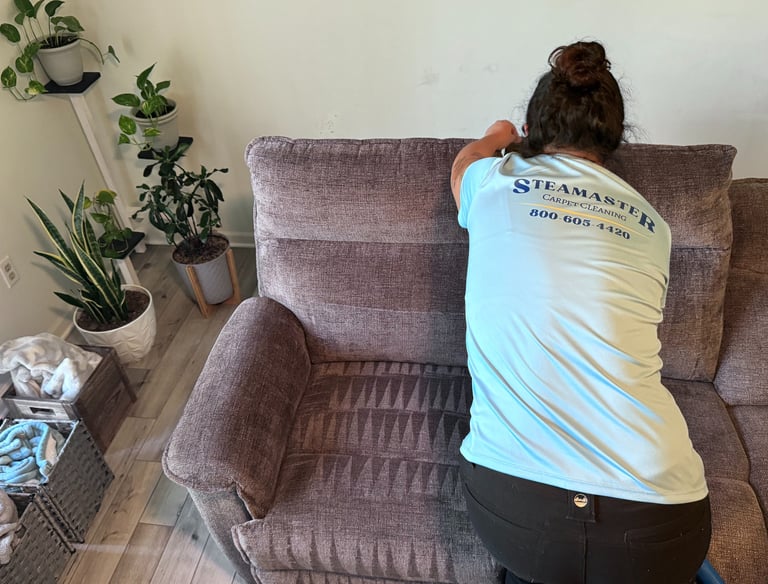 Professional couch and upholstery cleaning service by Steamaster