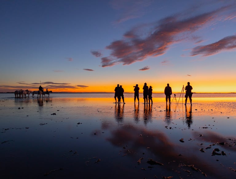 a group of people photographing horses on a beach