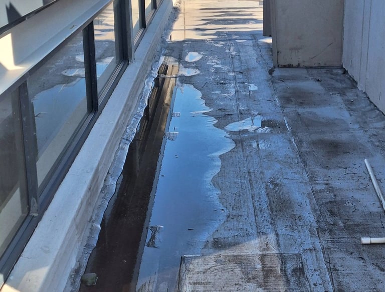 Flat roof inspection West Rand