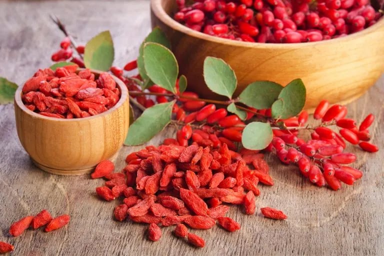 Ovarista berberine