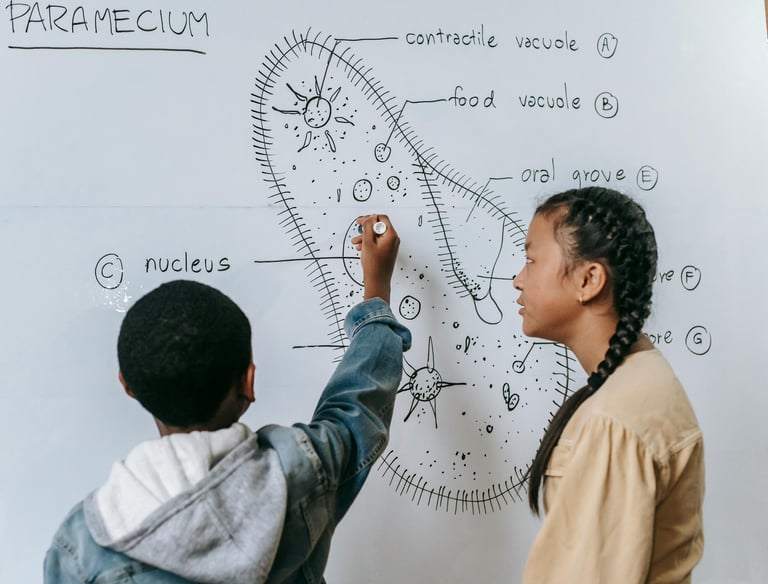 Strive Learning Solutions, tutoring, South Florida, reading, writing, math, SAT prep, K-12, academic