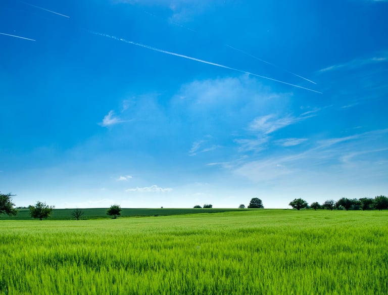 New acreage wastewater designs for builders and homeowners