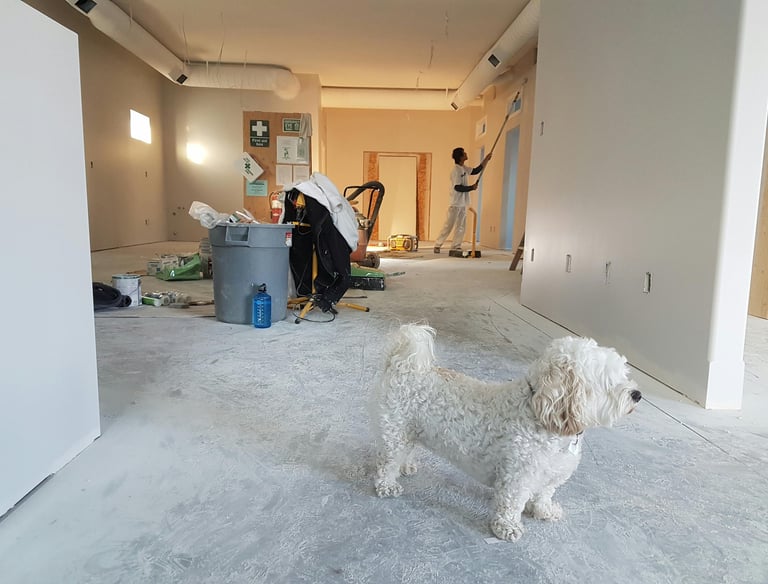 a dog standing in a room with a man in a suit and a woman in