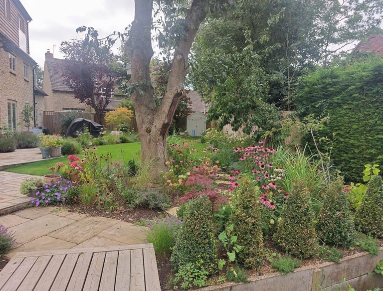 Backyard flower garden featuring purple coneflowers, stone patio path, and green lawn.