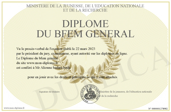 Personnalisation de diplômes universitaires français sur mesure.