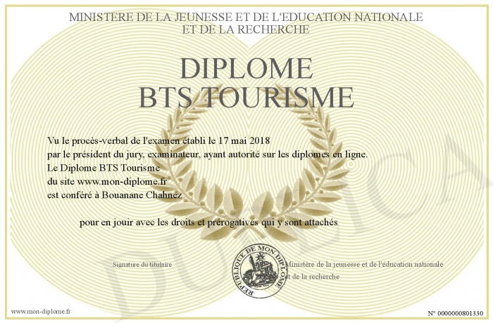 Reproduction fidèle d'un diplôme français officiel avec sceau en relief et papier premium.